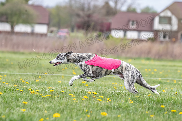 Finals Fch B1 Elan Arlo Arrow-9384