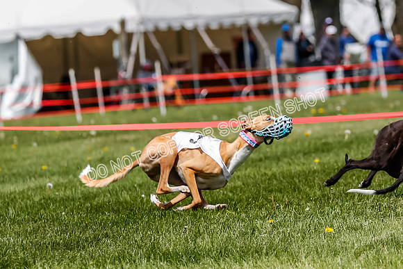 NOTRA Program 3, Race 4, Maybe Power Flora Clyps-2-5
