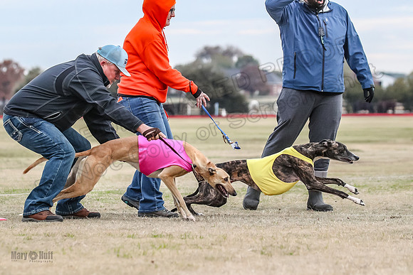 1Prelim Spec 1 Terra Bonnie-2586