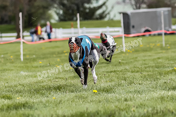 WRA, Prg 1, Race 10, Jamie Pico Nami Elia CC Savvy-8420