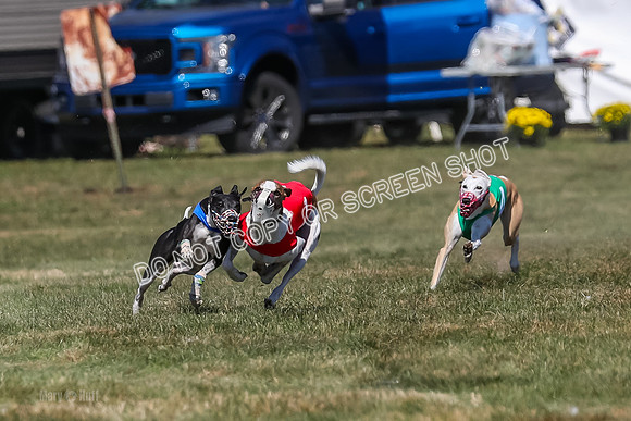 Prg 3, Race 9, Bibi Maybe Nami Rosie-2149