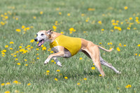 1Prelims Veterans 1 Rosa Marley Luna-1612