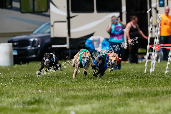 NOTRA Program 3, Race 7, Sparks Jubilee Tahoe Mika-2-3