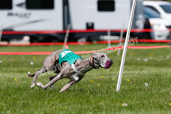 NOTRA Program 3, Race 8, Savvy Joplin Torque Java-2-8