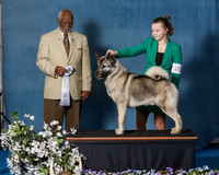 Elkhound 2020-1187