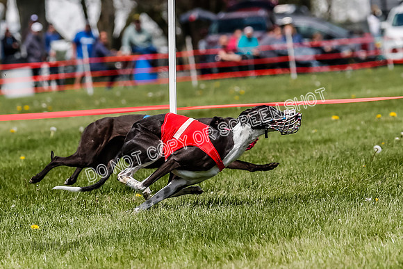 NOTRA Program 3, Race 4, Maybe Power Flora Clyps-2-4