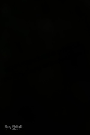 AE4I6179