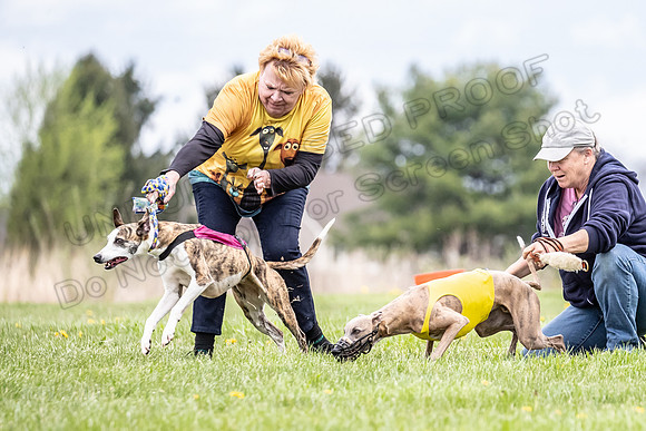 Finals Fch A4 Finely Carrie-9288