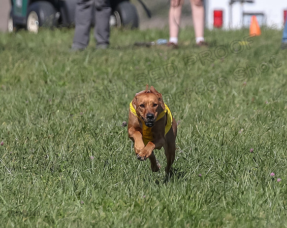 2 Finals Open 1 Rein Pepper Ash-7383