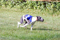 IMG_5033