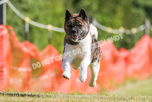 AE4I1567