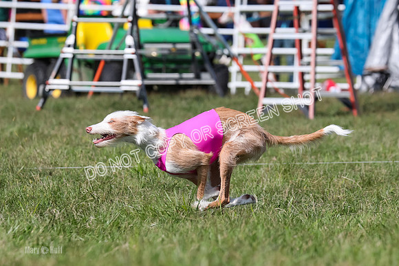 Open Prelim A2, Madyson, Razz-7619
