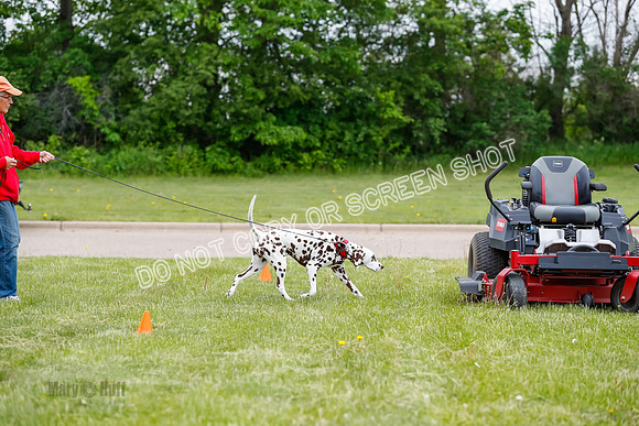 L1 Vehicle-6936