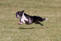 IMG_1317