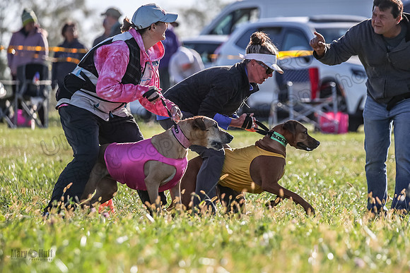 1 Prelims Open 3 Pepper Derby-4631
