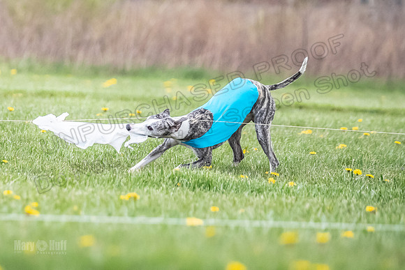 Finals Fch A1 Whisper Treble JesseJames-9114