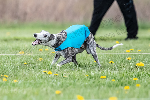Finals Fch A1 Whisper Treble JesseJames-9118