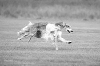 Open Prelim 2, Masquerade Freebie-0524-2