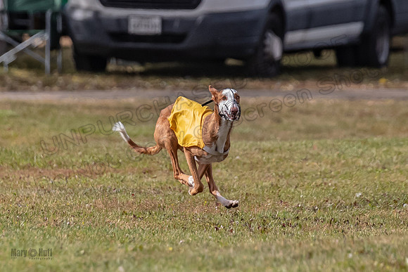 Finals Fch 1 Penny Jadis Madyson-3073