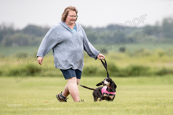 Prelims Mavis-0982