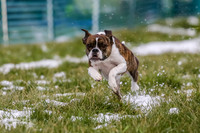 MCH72732