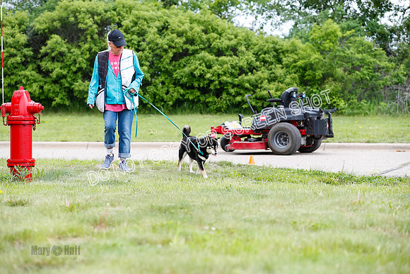 L1 Vehicle-7285