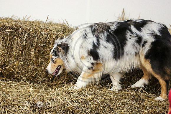 MCH51340