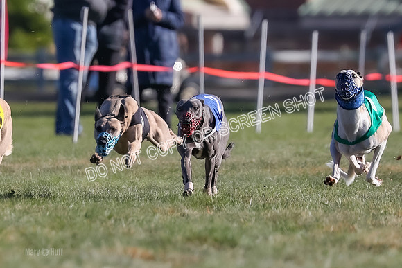 Prg 1, Race 18, Hillary Axl Chase Joplin Rum-9264