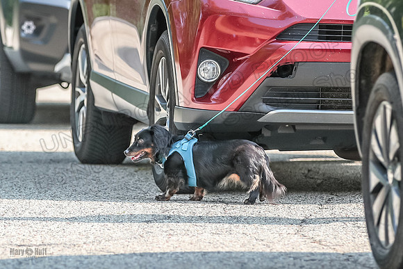 AE4I9721