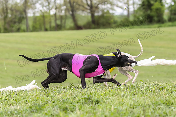 Prelims Open D3, Mizuno Wyatt-7059