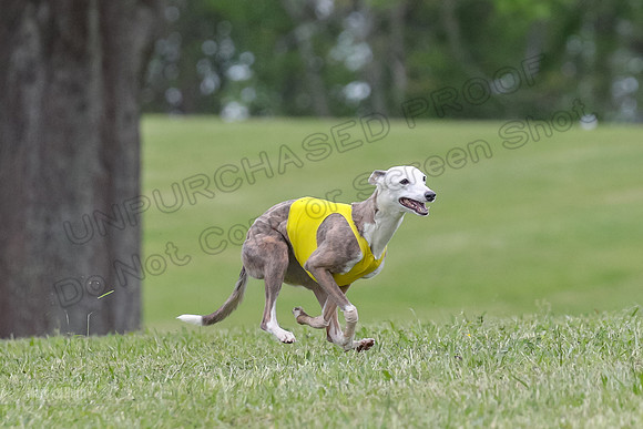 Finals Open G3, Digit Riddle Cuvee-1605