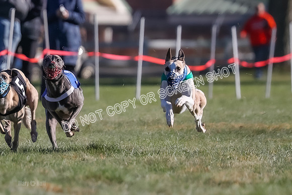Prg 1, Race 18, Hillary Axl Chase Joplin Rum-9265