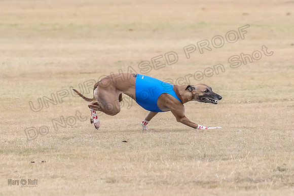 1Prelim Open 3 Eggsy Trixie Treble-3026