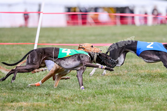 Prg 1, Race 16, Carl Maybe Bookie Sealli-0980