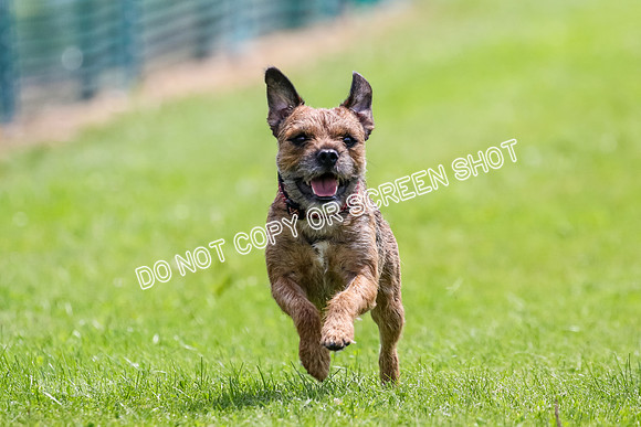 MCH70774