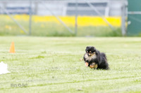 Cat Test 2-0996