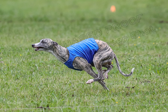 Prelim Open E1, Rip Mateo Maverick-9026