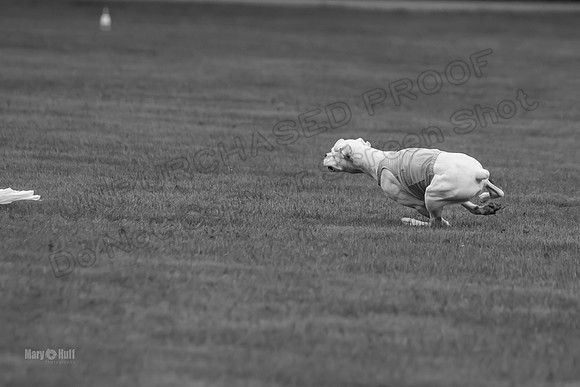 Prelims Nilla-0887-2