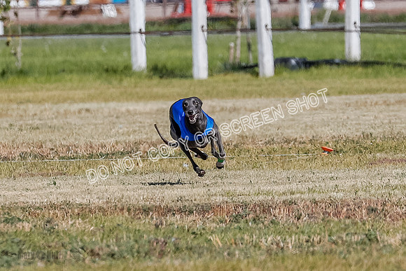 Open 1, Final, Zuma-Quinn-Flint-4923