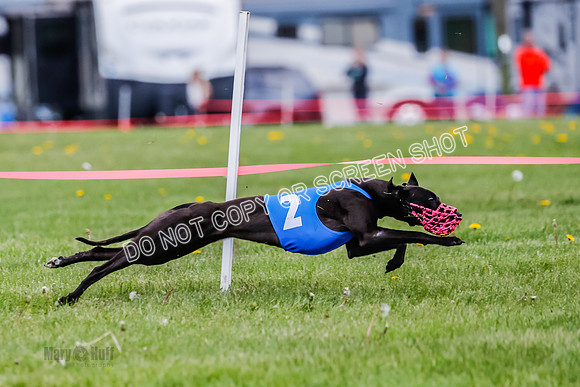NOTRA Program 2, Race 7, Ragnar Power Sandy Elvis-2-12