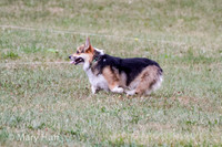 IMG_0255