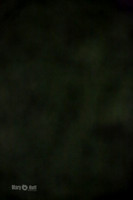 MCH51209