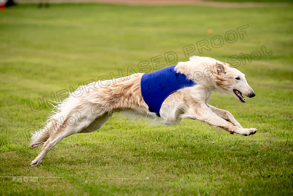 Open Prelim Bluegene Rhett Zen-0505