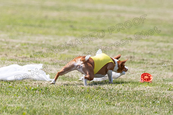 Finals-0151