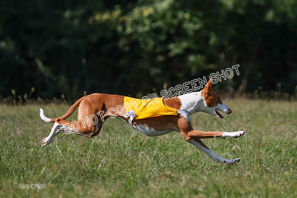 Open Prelim A2, Madyson, Razz-7641