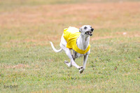 1 Prelims Open 1 AnnieOakley Fennec Zero-1219