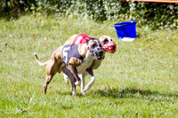 IMG_5070