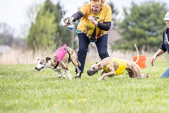 Finals Fch A4 Finely Carrie-9290