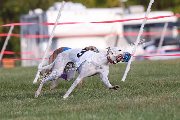 Prg 1, race 5, Cash Dusty Oats Carney-0668