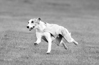 Prelims Misty-0636-2
